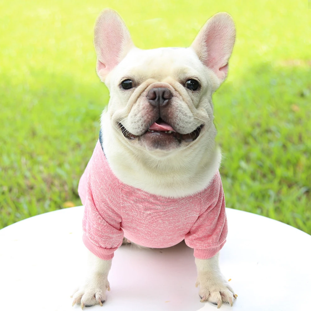 

Brand New Cat Clothes Autunm Winter Clothes Warm Coat Jacket Pet Hoodies For Cats Dogs Puppy Outfits Dog Clothing Accessories