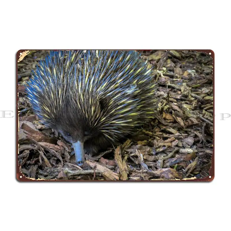 

Металлический плакат Echidna, дизайн клуба, гаража, классическая кухня, жестяной плакат