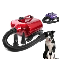 Professional Pet Shop Dryer 3000W Water Blower Dog Double Motor Pet Hair Dog Cat Grooming Blower Wind Wall Mounted Holder Rack