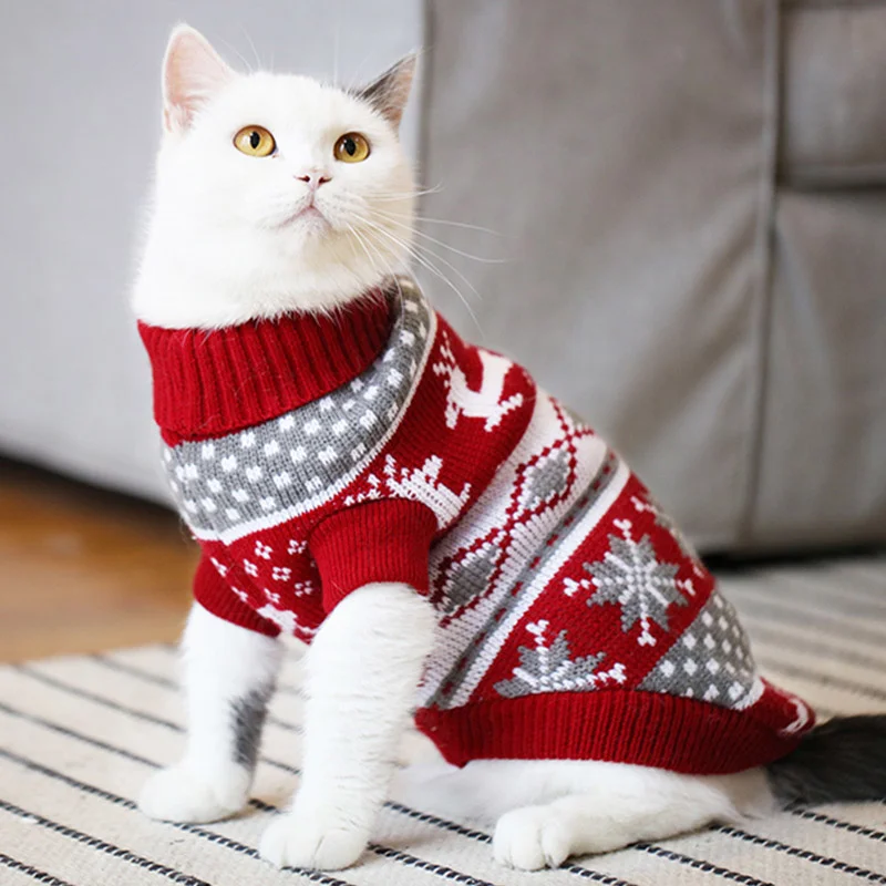 

Свитер для кота или небольшой собаки