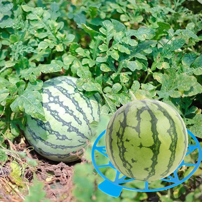 

1Pc Melon Cradle Support Stand Gardening Watermelon Holder Plastic Stable Tray Garden Planting Tools Plant Accessories