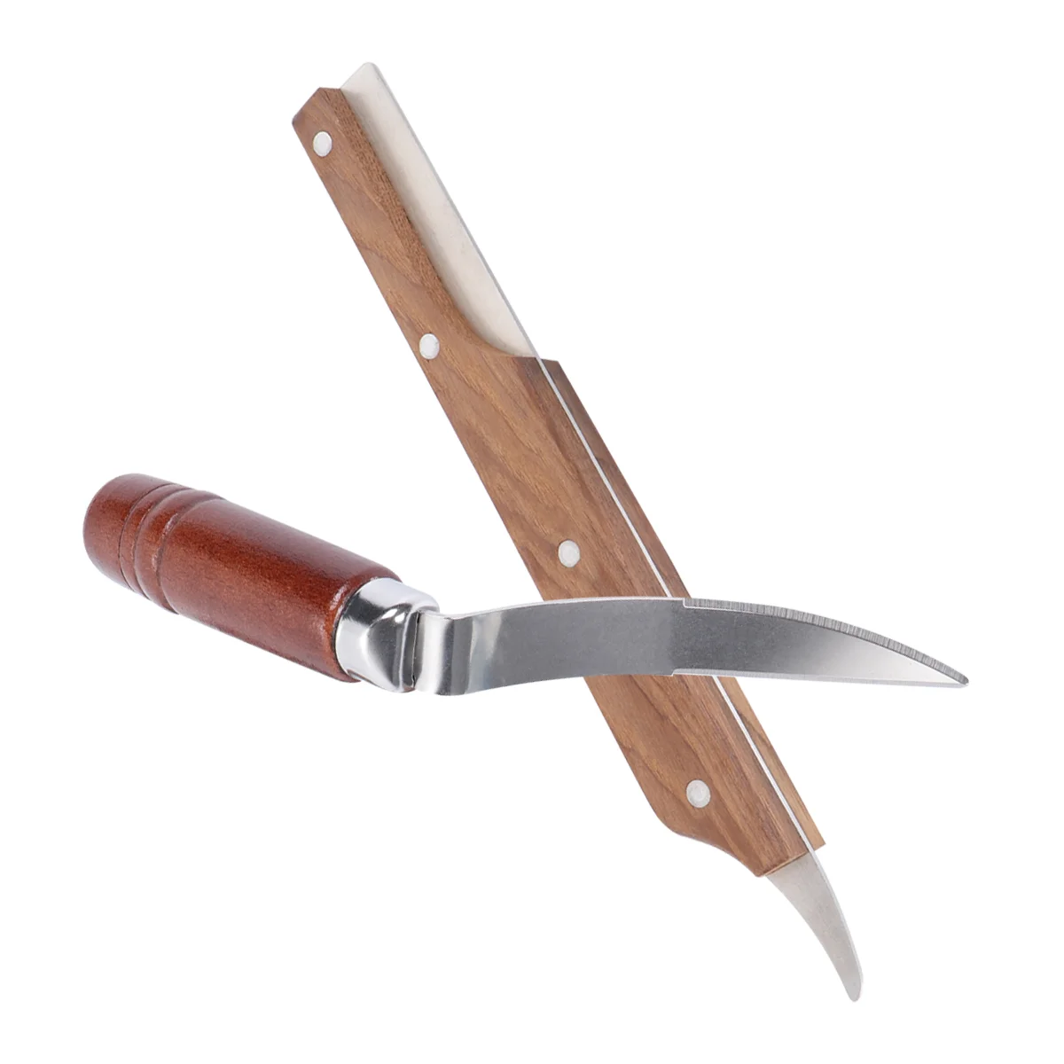 

Opener Meat Tool Remover Scraper Scaler Stainless Steel Grater Opening