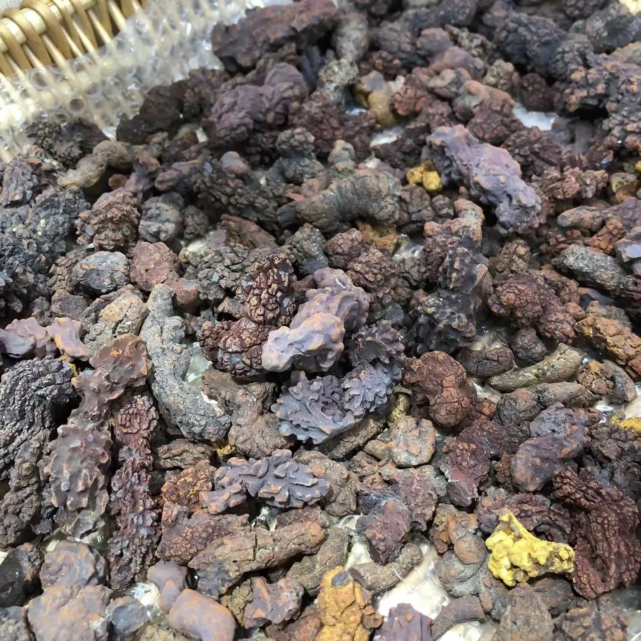 1 кг COPROLITE окаменелостированный образец какашек динозавра ископаемый Мадагаскар (art.: 3920cbdfb5353) - 3920cbdfb5353