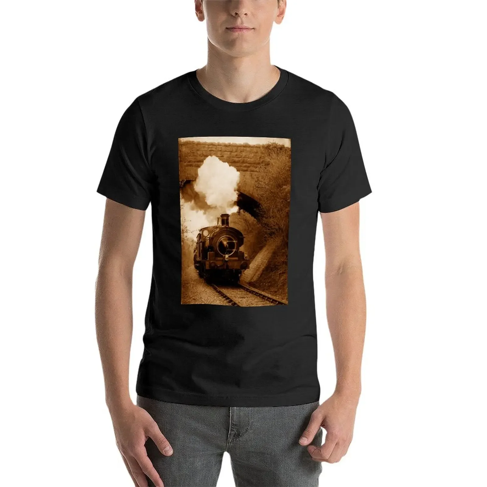 Паровоз входит под мост Shepton Mallet Somerset UK Футболки с рисунком футболки мужские