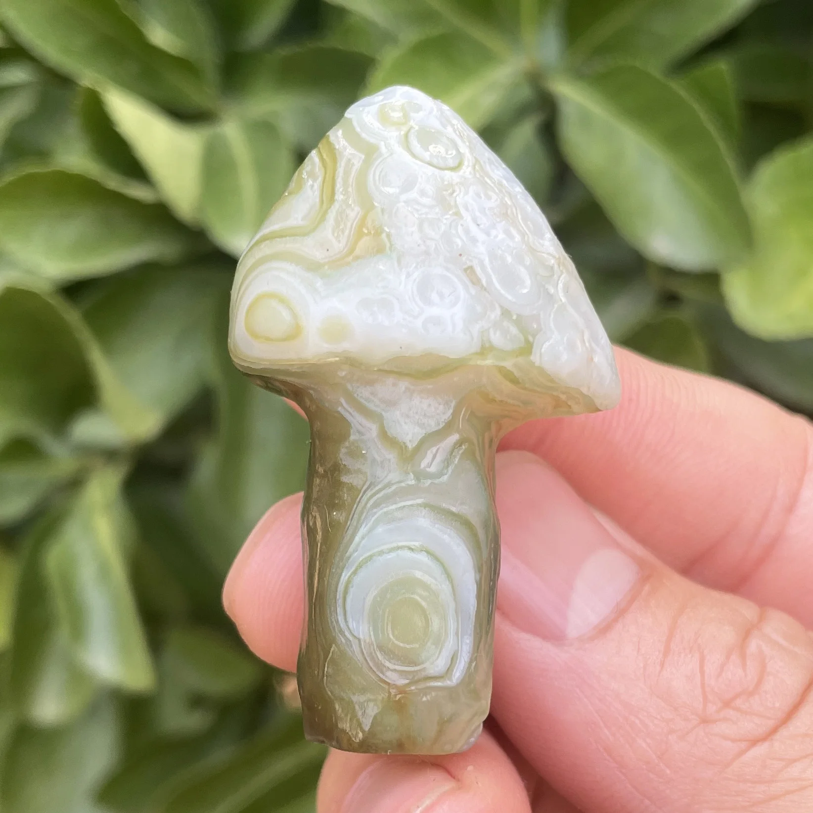 

Натуральный агат гриб M1-8