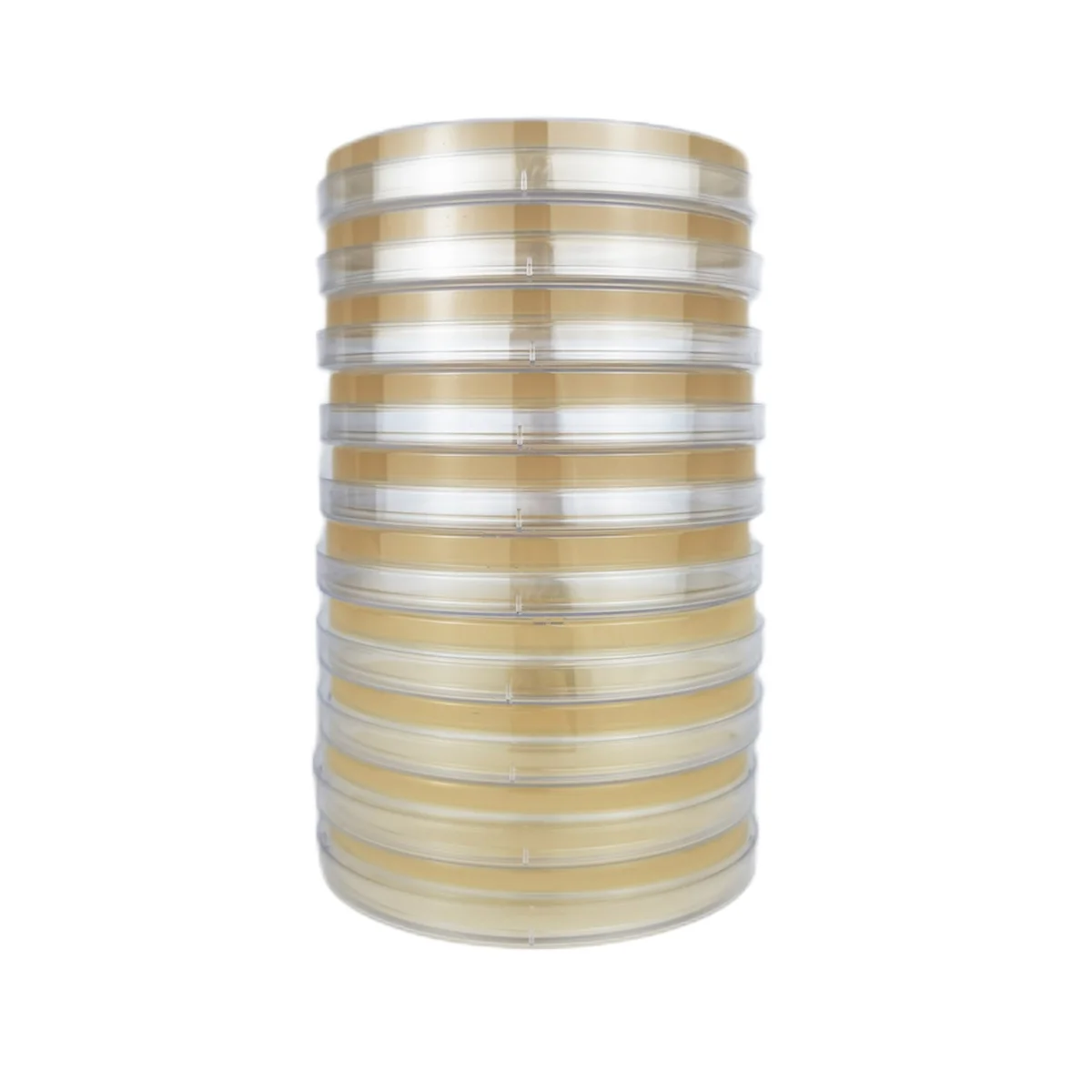 Декстроза для картофеля агар Петри бактериальная чаша грибов проект набор-тест