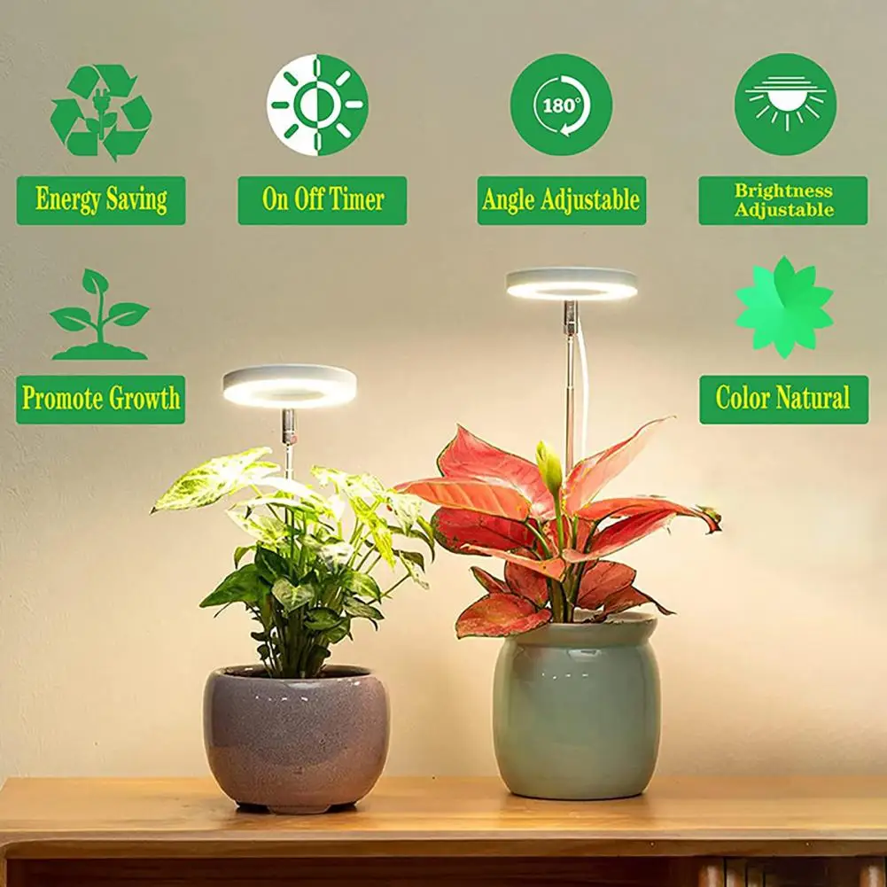 Led Efficient Full Spectrum Led Grow Lights For Flower Bonsai Plants Wide Illumination Indoor Landscape