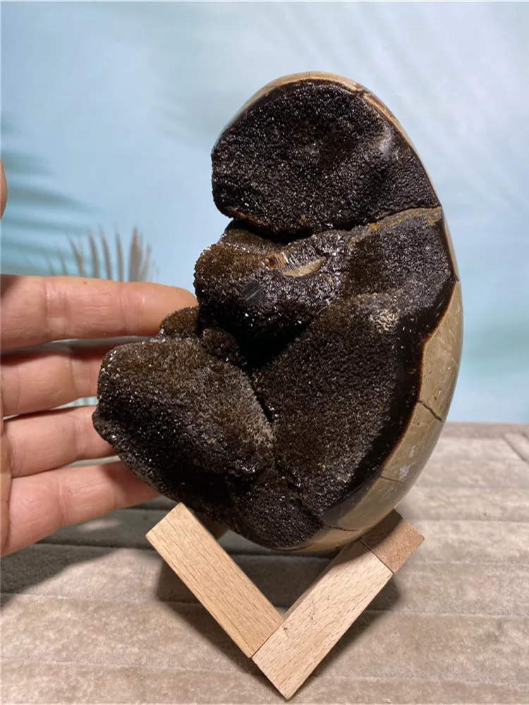 

Septarium Geode Natural Voog Quartz Crystal Raw Reiki Cluster Healing Stones Specimen Home Crafts Decoration Gift Dragon Egg