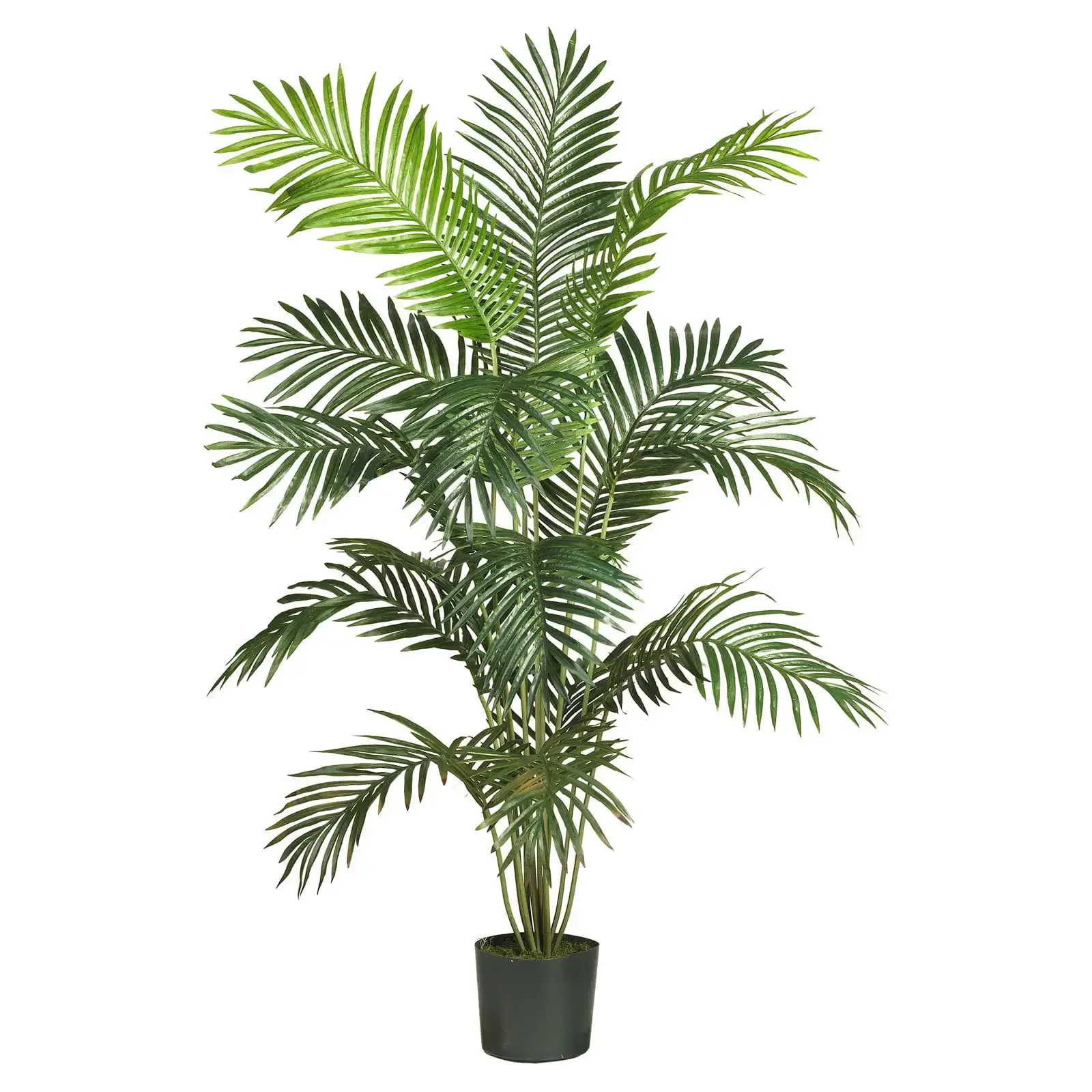 6ft. Paradise Palm Artificial Tree