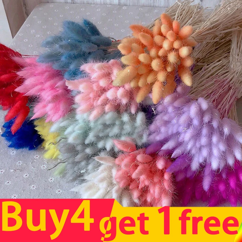 

Buy 4 Get 1 Natural Dried Flowers Premium Pampas Grass Rabbit Tail Grass Immortal Dried Bouquet Wedding Party Decoration Plants