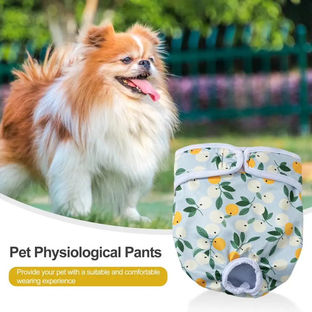 

Breathable Dog Diapers Comfortable Stylish Pet Pants High Absorbency Leak-proof Dog Diaper Wraps for Female Dogs for Senior