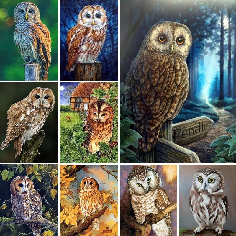 

Алмазная 5D картина «сделай сам» Tawny Owl, полная вышивка квадратными/круглыми стразами, мозаика с птицами, вышивка крестиком, украшение для дома