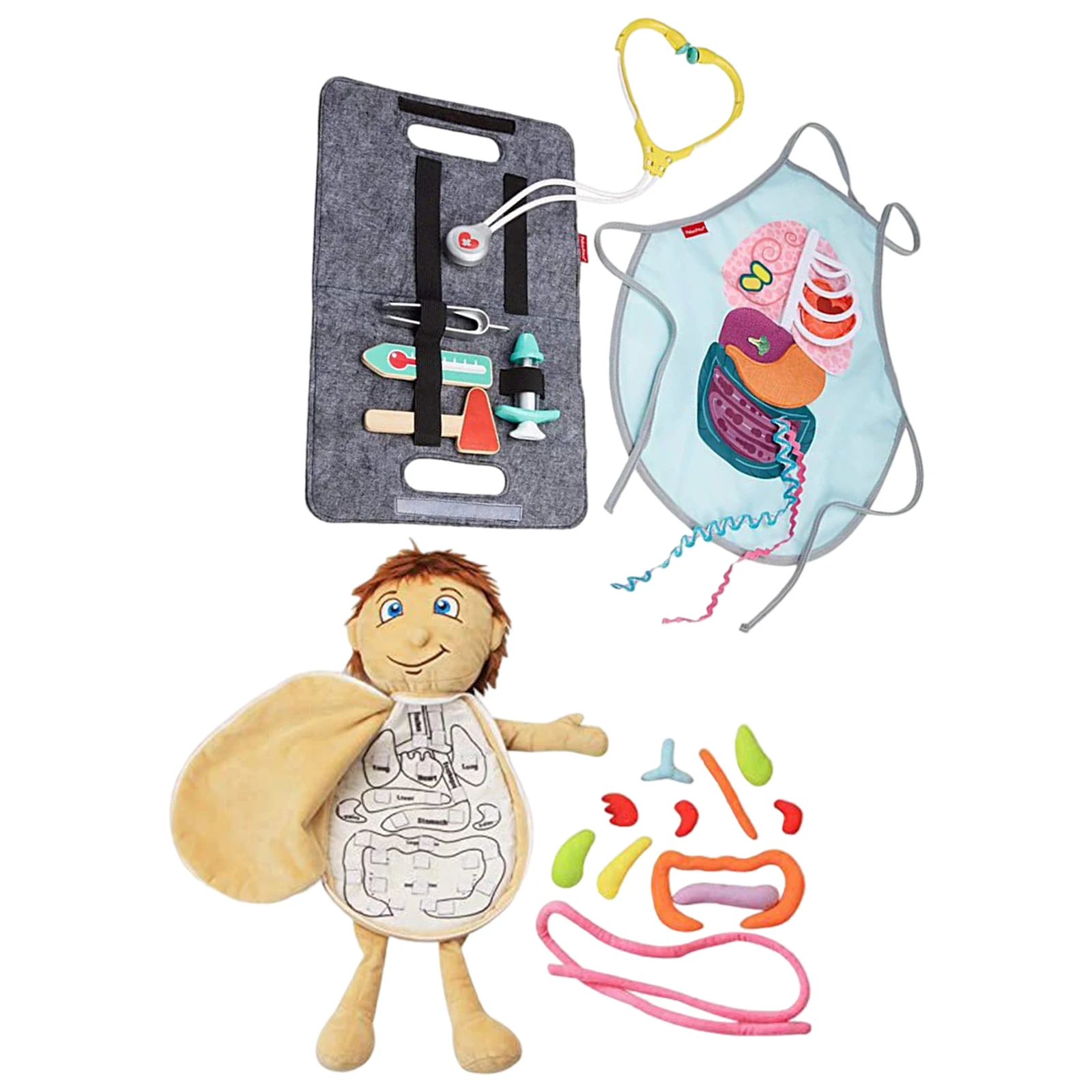 

Organ Toy Set Organs Awareness Science Learning Toy Plush Toys for Student