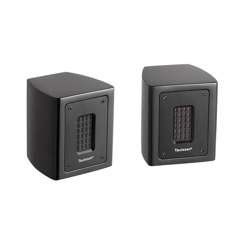 5 Ом Новый независимый ленточный супер динамик внешний пассивный - Цена: 16675.84