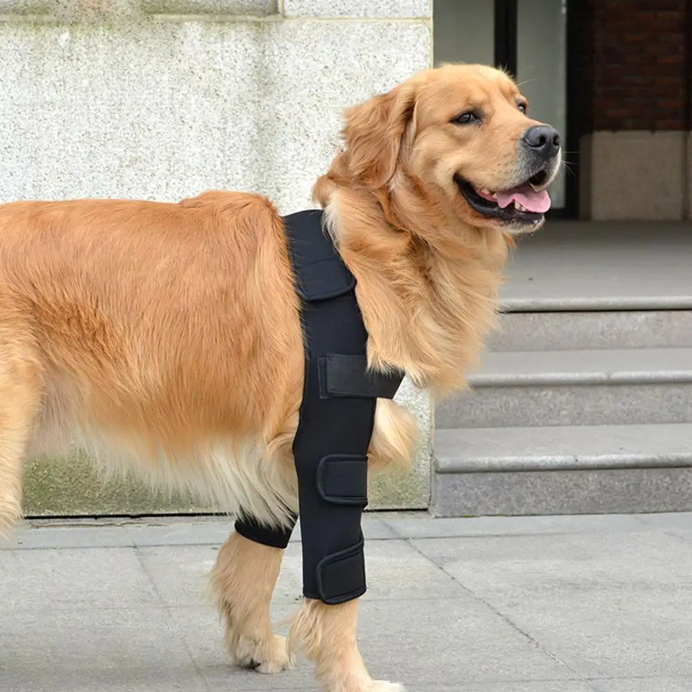 

Pet Leg Brace Leg Support Dogs Recovery Sleeve Protective Cover Pet Accessories For Protecting Wounds