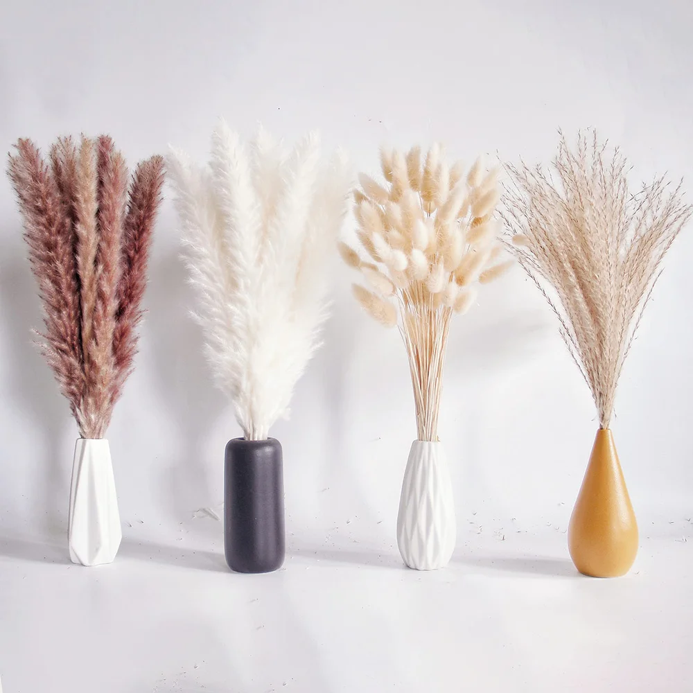 

100PCS Dried Flowers Pampas Grass Bunny Tails Bouquet,Boho Table Decor,White Brown Pompas for Wedding,Home,Party Bar Decorations