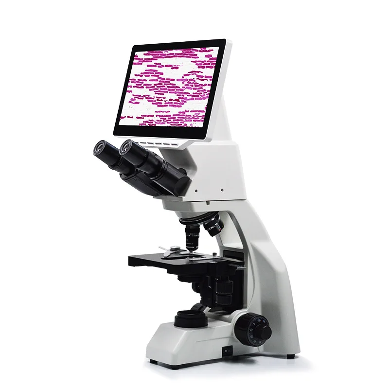 

WD-B106L-A binocular high-definition video biomicroscope