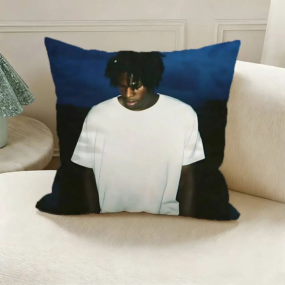 Фото Наволочка D-Daniel Caesar из полиэстера с принтом, квадратная, 30, 35, 40, 45, 50, 55 см, мягкая, для дивана, кровати, автомобиля, домашнего декора. №3