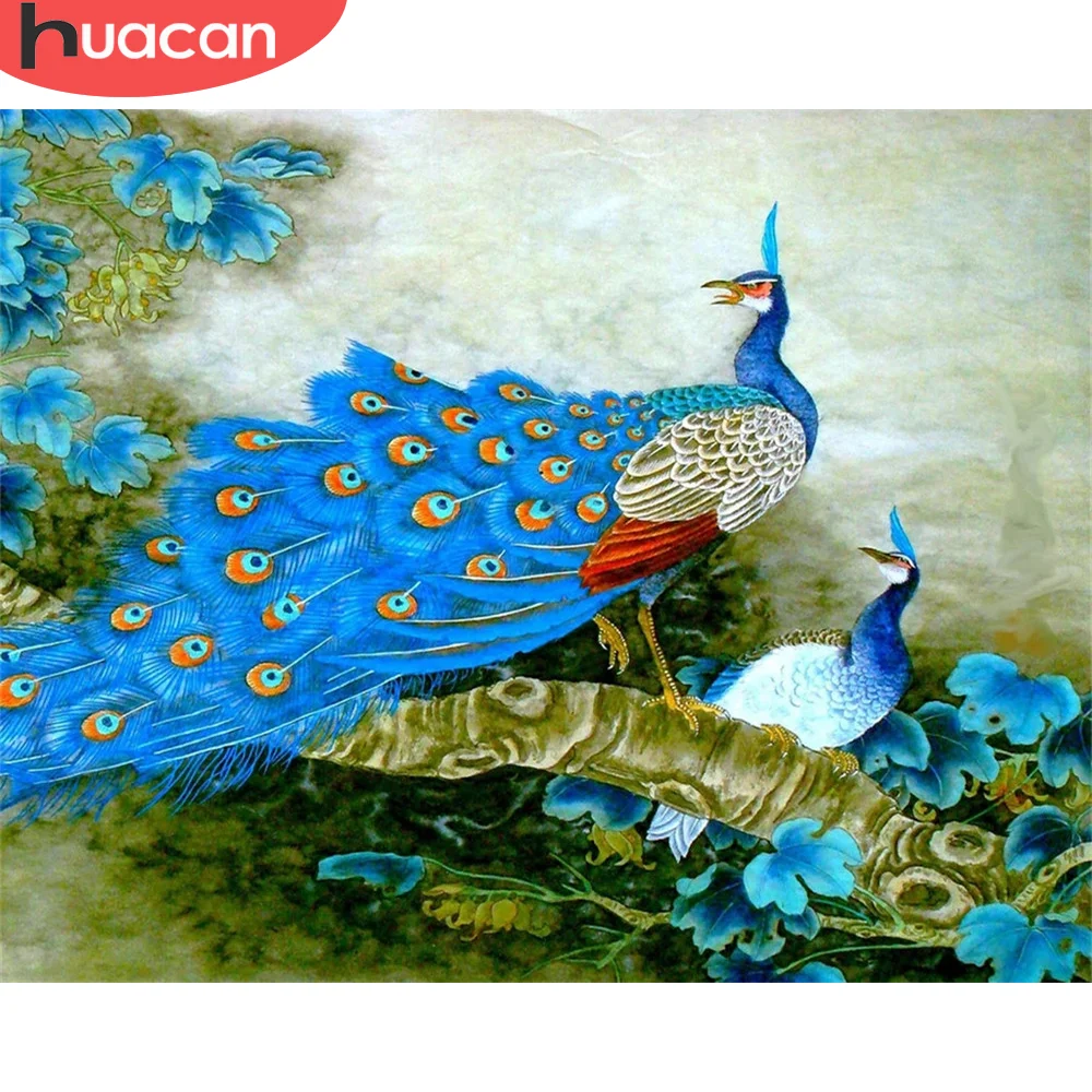 

HUACAN Coloring By Number Peacock Drawing On Canvas HandPainted DIY Painting By Numbers Flower Home Decoration Art Gift