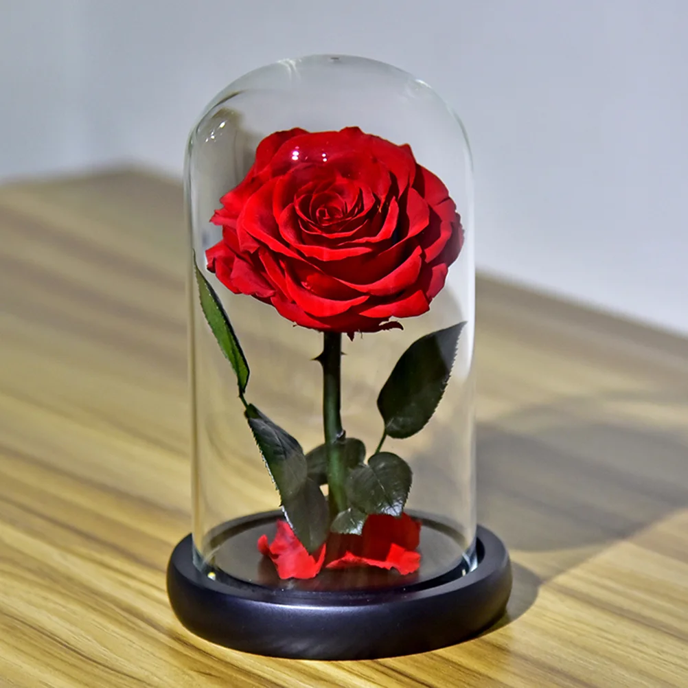 

1Pc Gift Creative Decorative Elegant Glass Dome Lamp for Birthday Wedding Valentine's Day
