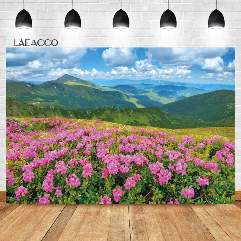 

Laeacco Spring Graceful Natural Scenery Backdrop Evergreen Mountains Flowers Kids Women Artistic photography Portrait Background