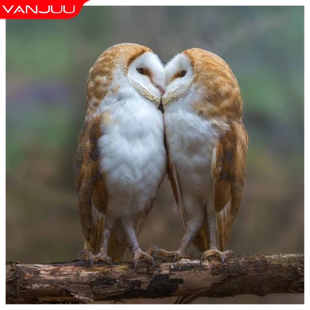 

5D Diamond Painting owl Full Drill Diamond Mosaic couple Animals Diamond Embroidery DIY Art Picture Rhinestones Decor Gift
