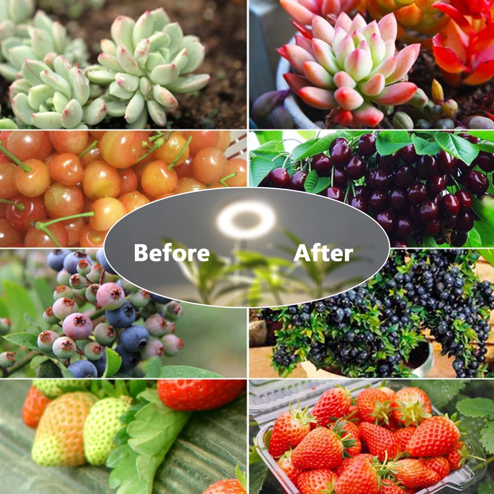 Светодиодные лампы роста Полный спектр растительных ламп USB 5V высотный