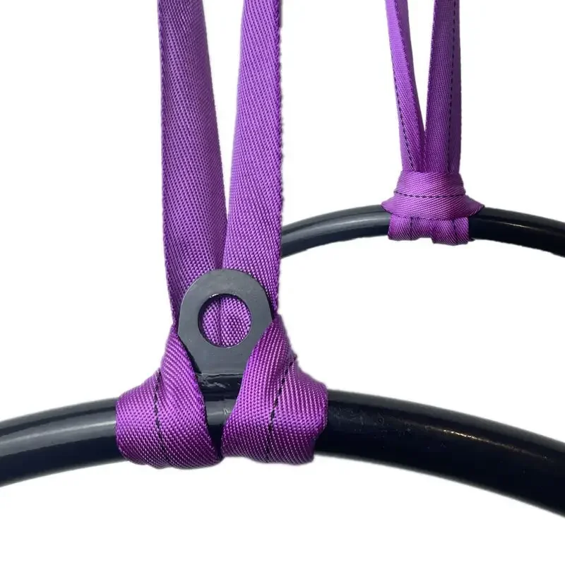 Sangle dɾxtension yoga a Steuerportée ULdeangay pour chrysanthème санглевая тарелка домашняя