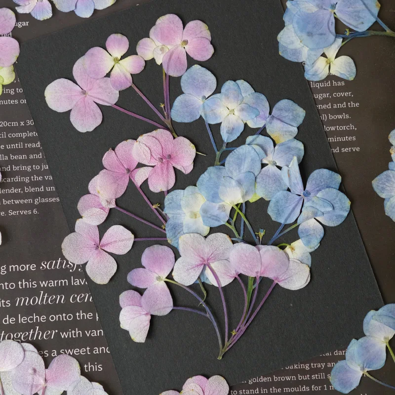 6-9 см/12 шт. прессованные гортензии сушеные цветы сделай сам настоящие листья