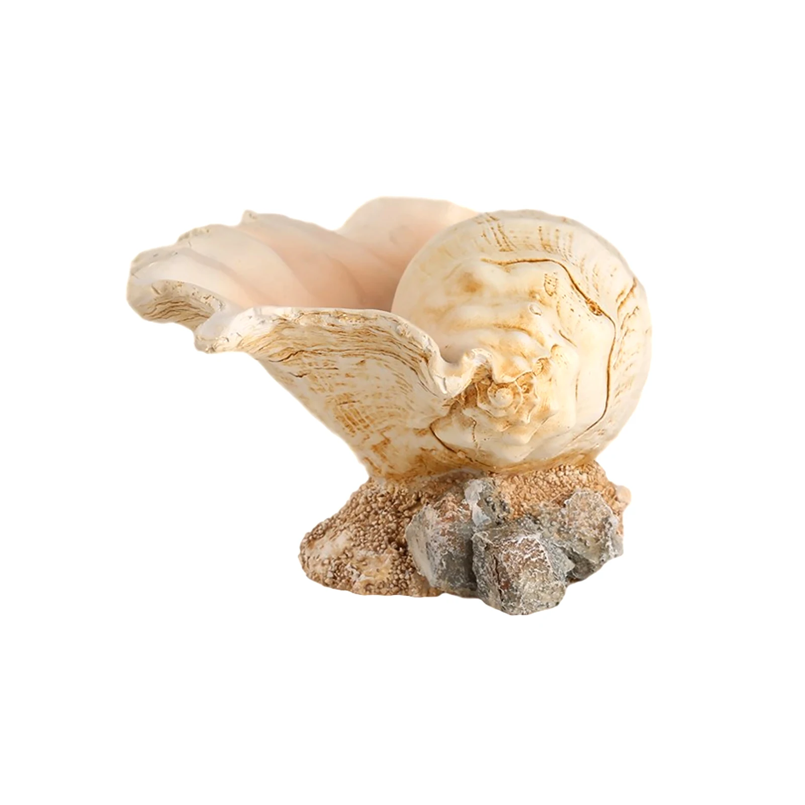

Succulent Container Party Simulation Conch Garden Home Decor Air Plant Gift Ornament Beach Theme Table Centerpiece Flower Pot