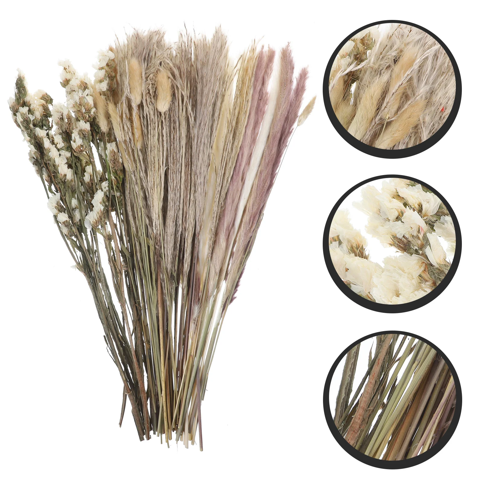 

Dried Reed Pampas Decor Flower Diy Branches Natural Pompass Eternal Props Vase Flowers Bouquets Reeds Bouquet Layout Material