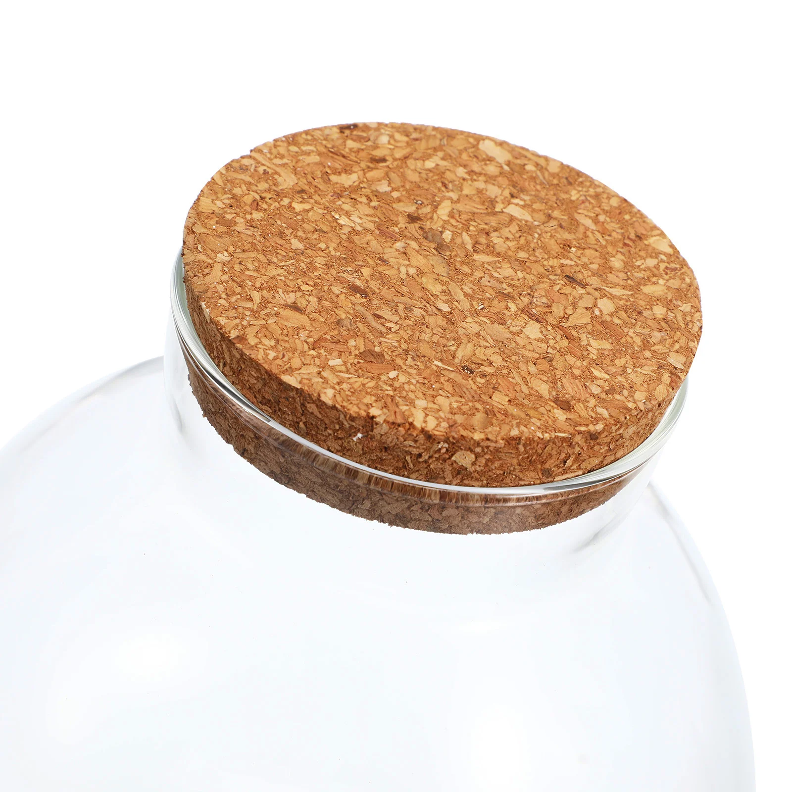 2 шт. пузырьковая чаша дисплей на память глобус микропейзаж экологическая