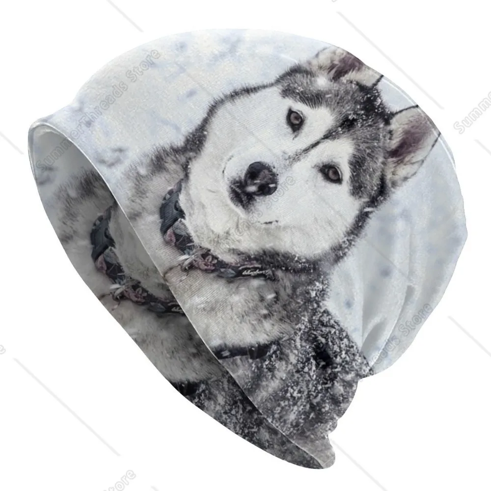 Шапка-бини сибирского хаски вязаная шапка для мужчин и женщин крутая унисекс
