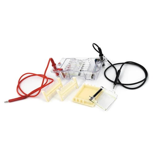 DYCP-31BN Аппарат для электрофореза горизонтальной кислоты агарозы идентификации