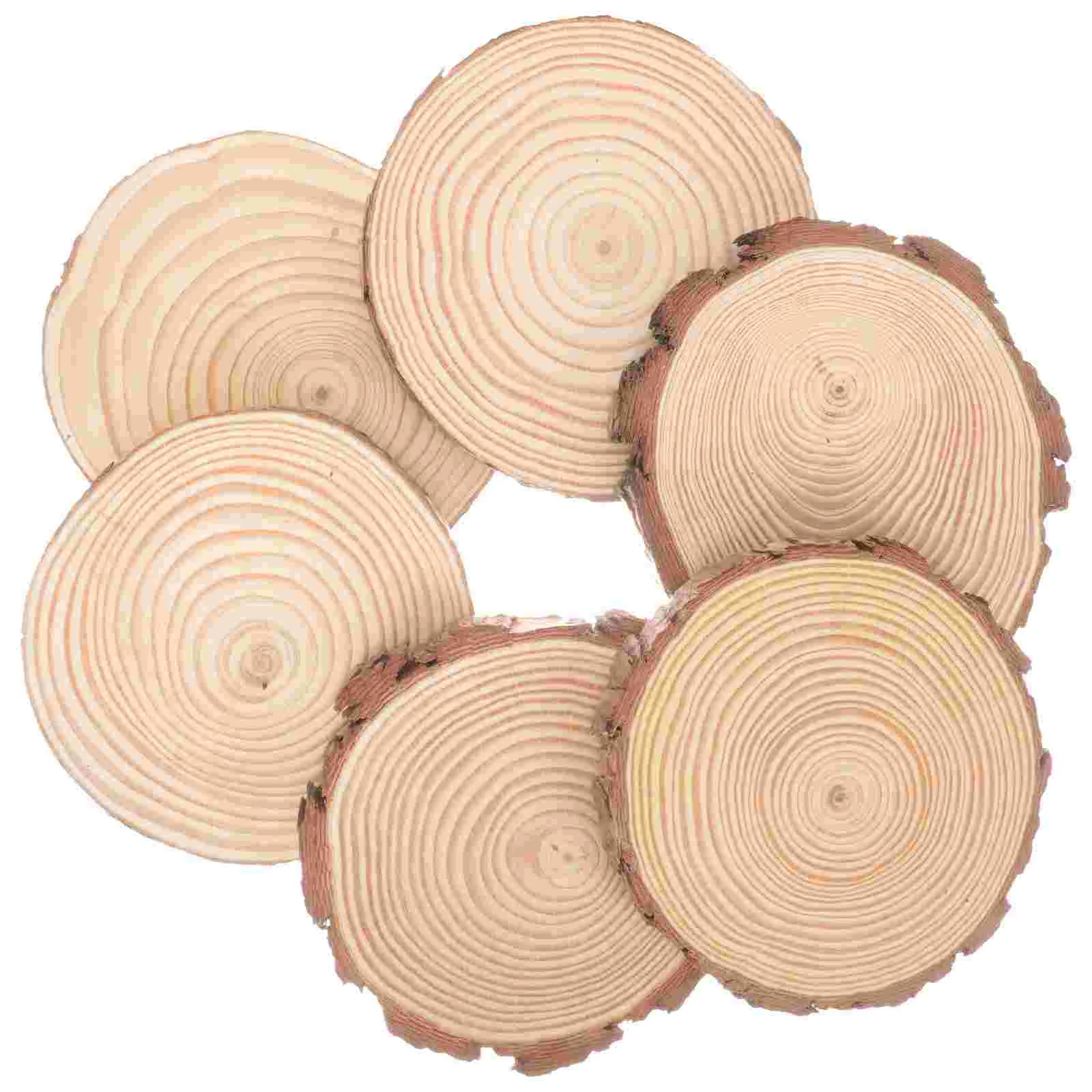 

6 Pcs Round Wooden Circles DIY Slices Painting Discs Unfinished Natural Unpainted Craft Kids Crafting