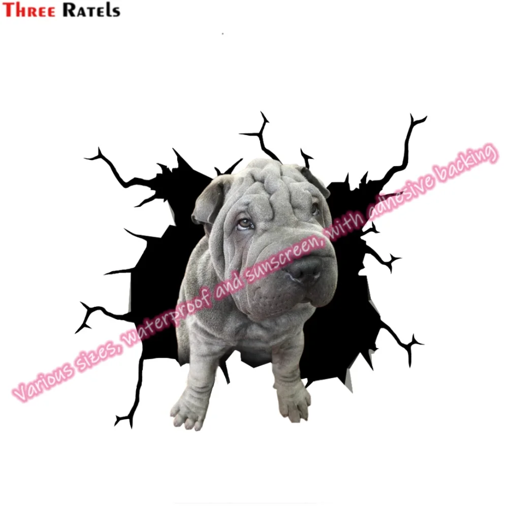 Автомобильные виниловые наклейки Three Ratels для Audi Q5 Аксессуары автомобилей Renault Megane