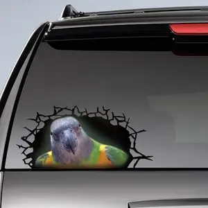 Наклейка на окно Сенегал попугай 3D наклейка