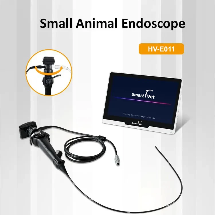 Smartfvet HV-E011 высококачественный портативный ветеринарный эндоскоп для больницы с