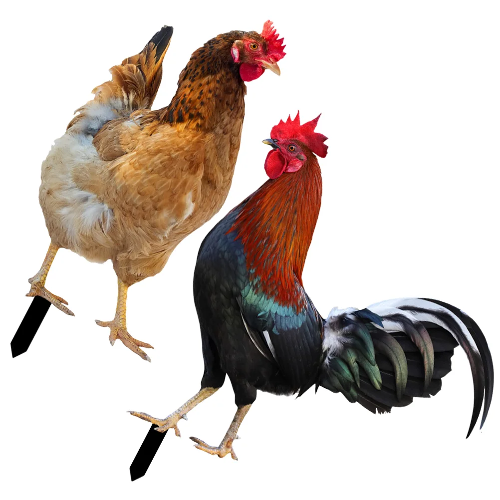 

2 Pcs Decorative Garden Inserts Stake Decoration Outdoor Hen Yard Chicken Ornaments Acrylic Sign Decorations