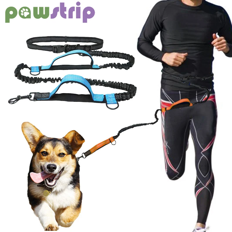 

Retractable Dog Leash Hands Free Dogs Traction Rope Reflective Running Belt Freely Jogging Elastic Pull Dog Leashes Pet Supplies