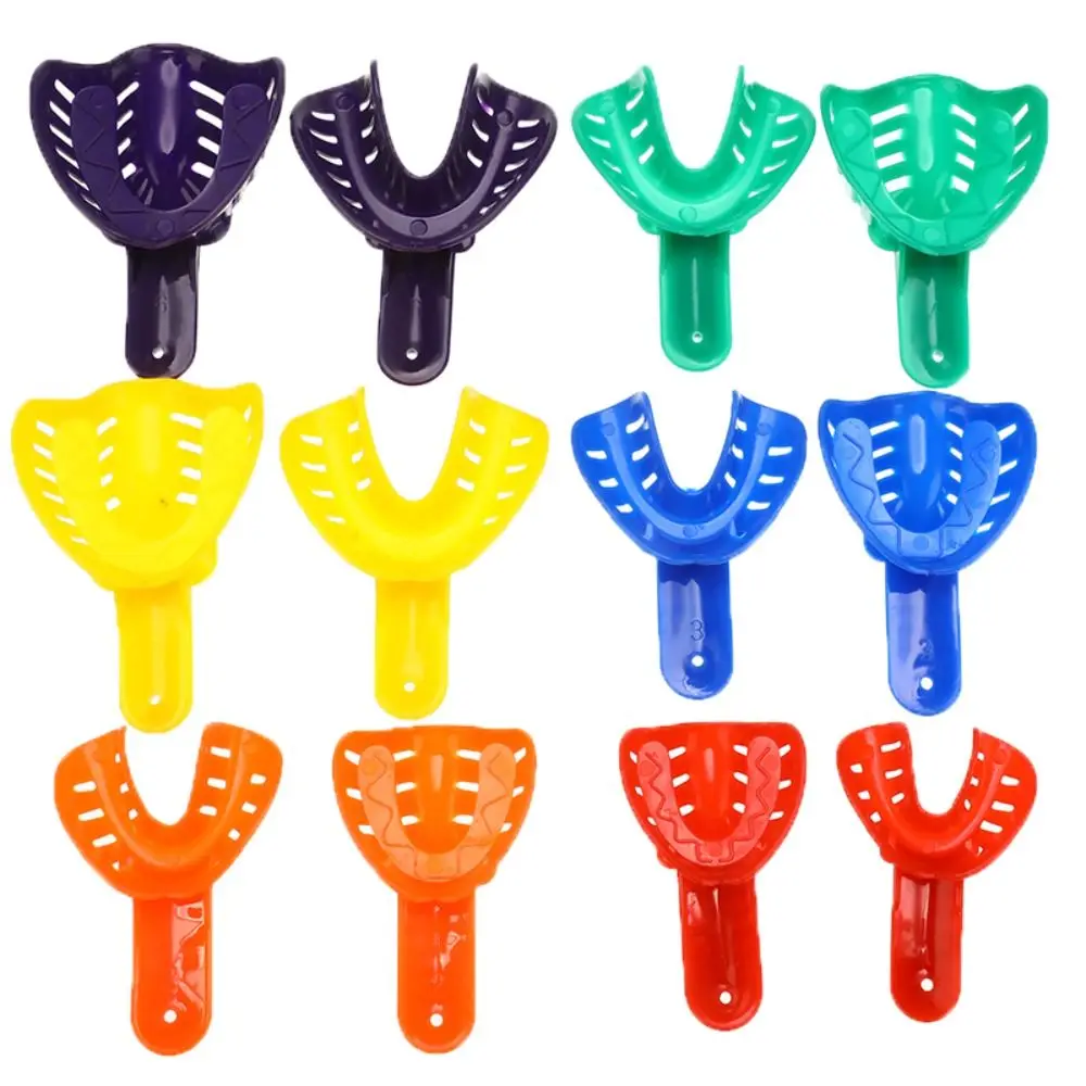 

Oral Care Durable Dentistry Accessory Tools Dental Trays Teeth Holder Kit Molded tooth holder Dental Impression Trays