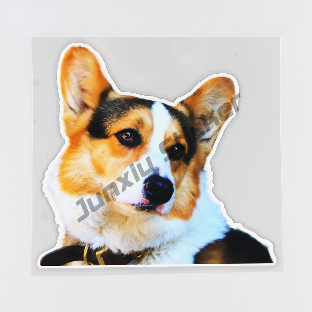 

Lifelike Cute Corgi Avatar Creative Cartoon Modified Car Sticker Funny Decoration Accessories KK16*15cm