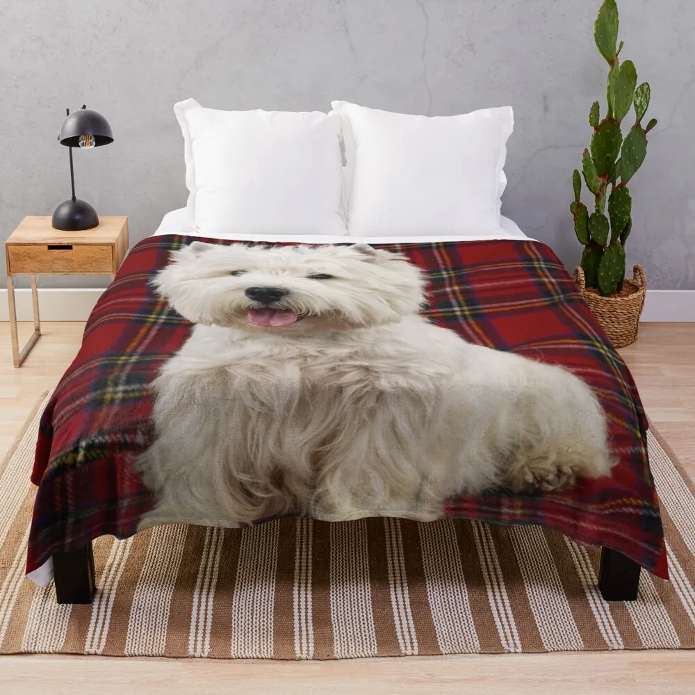 

West Highland White Terrier on a шотландская версия одеяло для кемпинга пушистые одеяла большие
