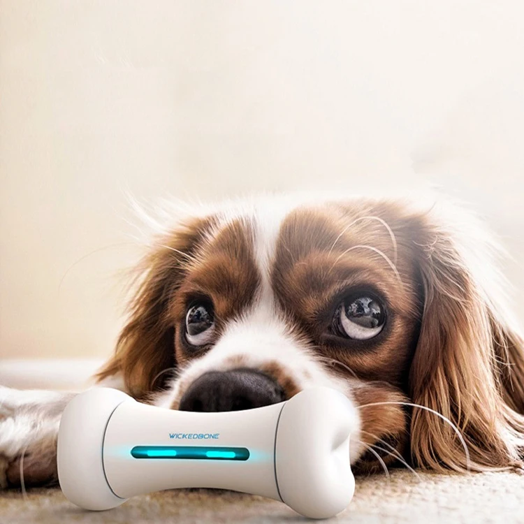 

wholesale high quality electric funny pet smart dog toy educational toys