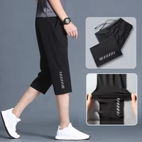 men shorts 2022 summer fashion ice silk boardshorts seven point pants homme bermuda breathable quick drying shorts male trousers