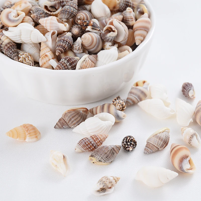 

Hot Sale Natural Small Conch Shape Charm Shell Beads Spacer Beads For Jewelry Making DIY Fahion Necklace Bracelet Accessories