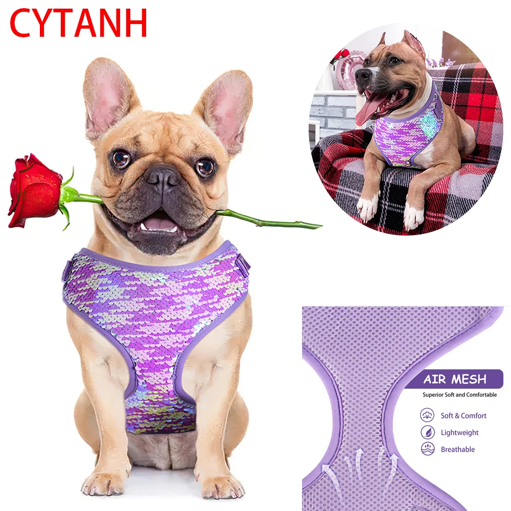 

Back Mesh Tank Top Vest Pet Pet Accessories Puppy Cat Chihuahua Purple Soft Tank Top Pet Supplies Puppy Cat Strap Dress Chest