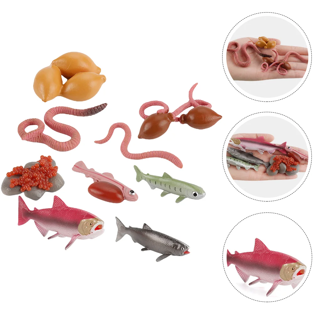 

Prank Toy Children Gifts Earthworm Toys Octopus Figurine Worm Fish Cognition Model Salmon Figurine Sea Marine Animal Figures