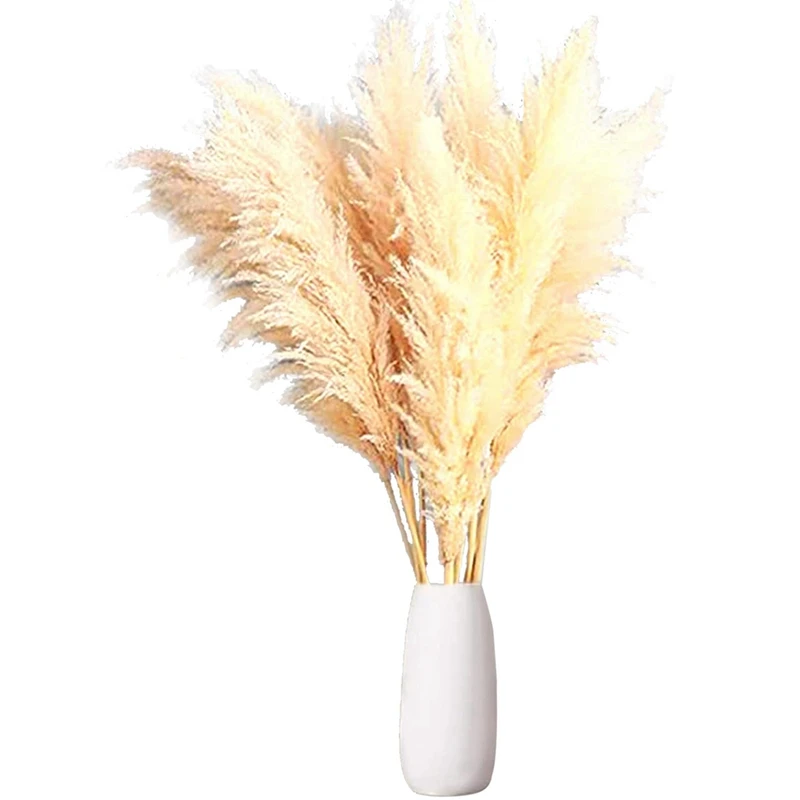 

Сушеная пампасная трава, высокие пушистые вазы с 12 стеблями, засушенная пампасная трава для дома, офиса, свадьбы и искусств, 1 комплект