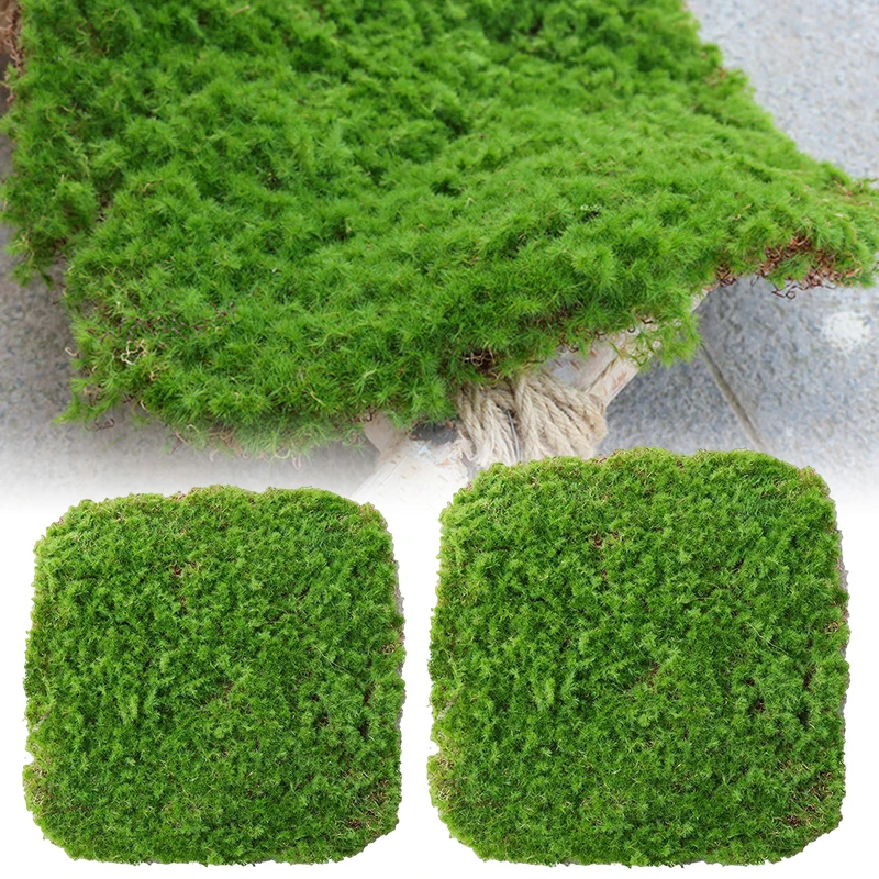 

20cm/30cm Square Artificial Grassland Simulation Moss Lawn Turf Fake Green Grass Mat Carpet DIY Micro Landscape Home Floor Decor